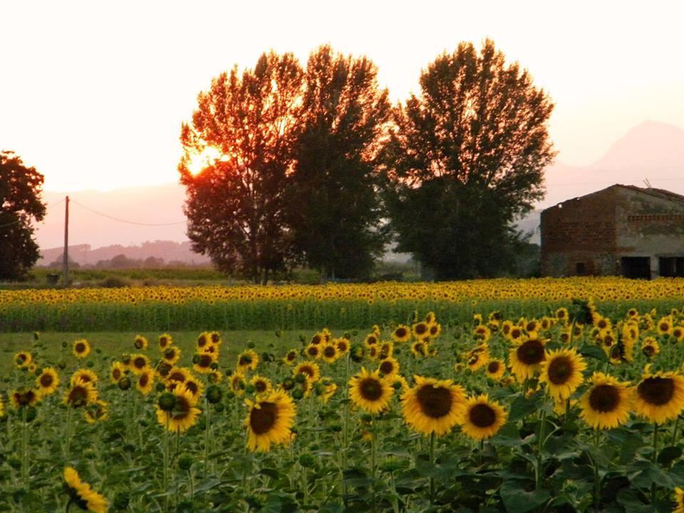 Ponte Buggianese Agriturismo Settepassi Tuscany מראה חיצוני תמונה